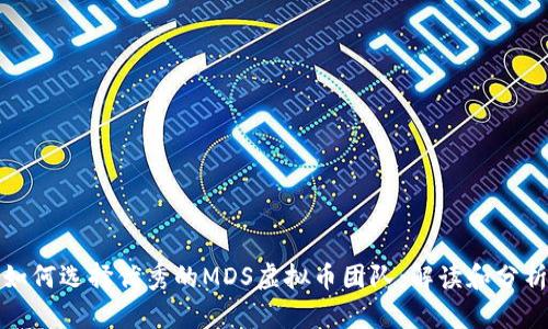 如何选择优秀的MDS虚拟币团队：解读和分析