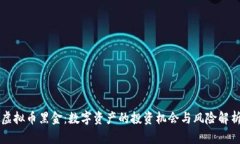 虚拟币黑金：数字资产的