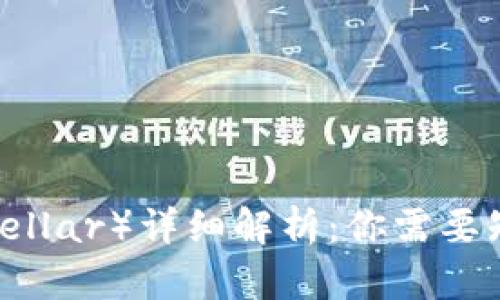 恒星币（Stellar）详细解析：你需要知道的一切