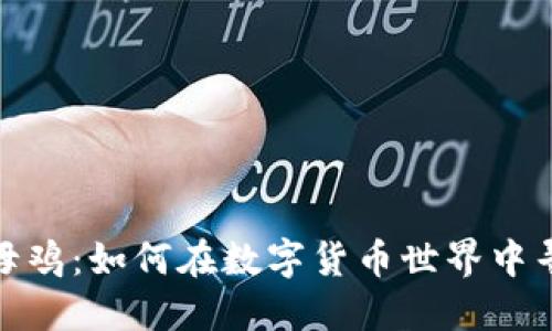 探索虚拟币母鸡：如何在数字货币世界中寻找稳定收益