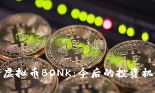 全面解析虚拟币BONK：今后的投资机会与风险