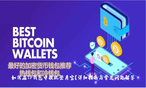 如何在TP钱包中提现登月宝？详细指南与常见问题解答