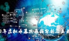 2023年虚拟币暴跌原因分析