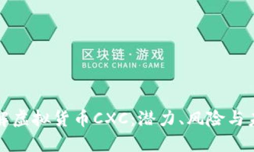 深入了解虚拟货币CXC：潜力、风险与未来趋势