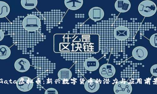 Gata虚拟币：新兴数字货币的潜力与应用前景