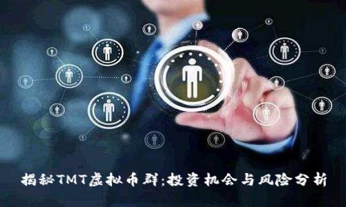 揭秘TMT虚拟币群：投资机会与风险分析