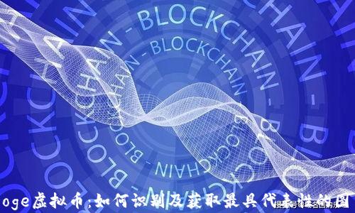 
Doge虚拟币：如何识别及获取最具代表性的图片