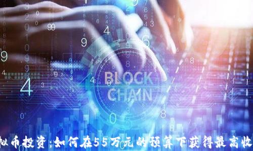 
虚拟币投资：如何在55万元的预算下获得最高收益？