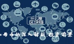 虚拟货币和母币的深入解