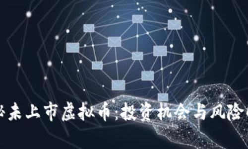 揭秘未上市虚拟币：投资机会与风险解析