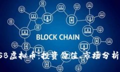深入了解GSB虚拟币：投资