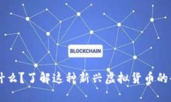 SG币是什么？了解这种新兴