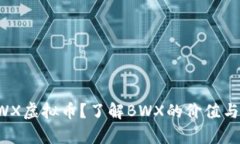 什么是BWX虚拟币？了解B