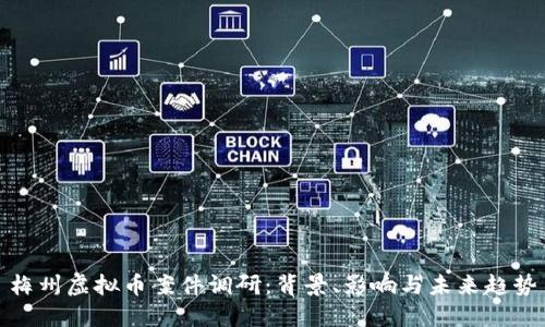 梅州虚拟币案件调研：背景、影响与未来趋势