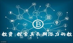 虚拟币投资：探索其长期