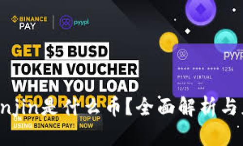 虚拟币Enjin是什么币？全面解析与应用前景
