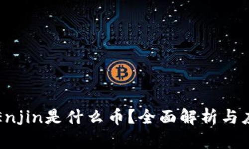 虚拟币Enjin是什么币？全面解析与应用前景