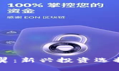 虚拟币大空翼：新兴投资选择与风险分析