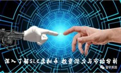 深入了解SLC虚拟币：投资