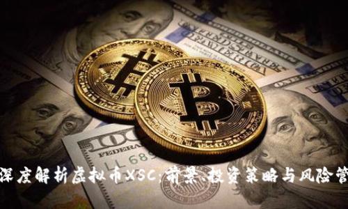 : 深度解析虚拟币XSC：前景、投资策略与风险管理