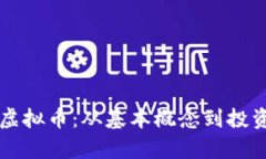 一文读懂虚拟币：从基本
