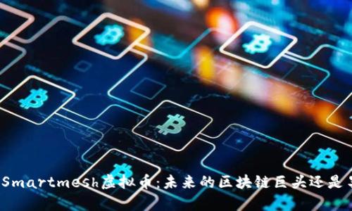 深度解析Smartmesh虚拟币：未来的区块链巨头还是昙花一现？