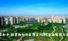 : SLM虚拟币：投资机会还是