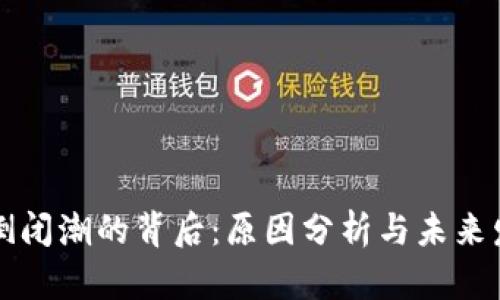 虚拟币倒闭潮的背后：原因分析与未来发展趋势