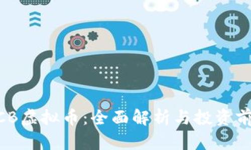 WCB虚拟币：全面解析与投资前景