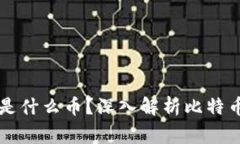 虚拟币大饼是什么币？深