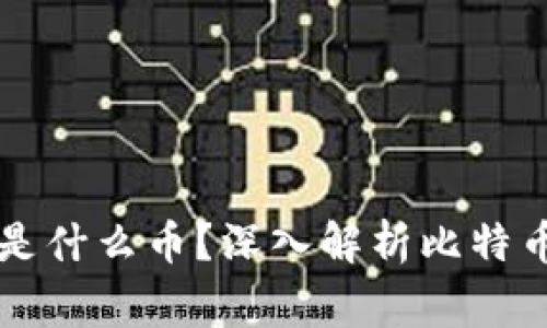 虚拟币大饼是什么币？深入解析比特币的背后故事
