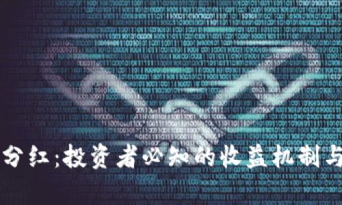 虚拟币日分红：投资者必知的收益机制与风险分析