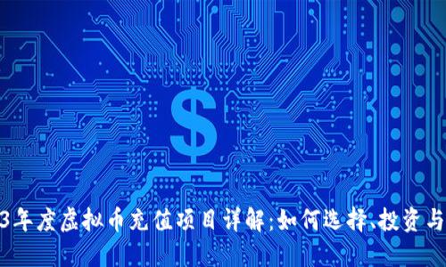 2023年度虚拟币充值项目详解：如何选择、投资与回报