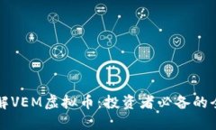 深入了解VEM虚拟币：投资