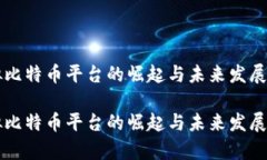 虚拟比特币平台的崛起与