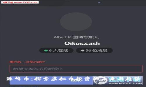 珠峰币：探索虚拟币投资的未来与趋势