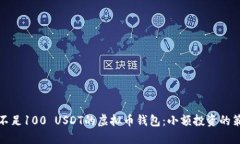 如何管理不足100 USDT的虚拟