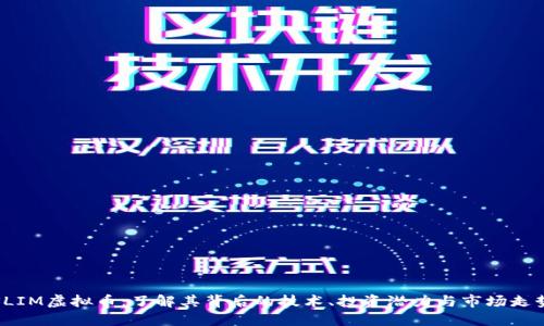 SLIM虚拟币：了解其背后的技术、投资潜力与市场走势