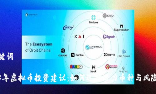 和关键词

2023年虚拟币投资建议：如何选择潜力币种与风险控制