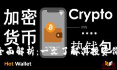 BIU虚拟币的全面解析：一