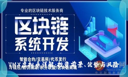 VMX虚拟币详解：投资前景、优势与风险