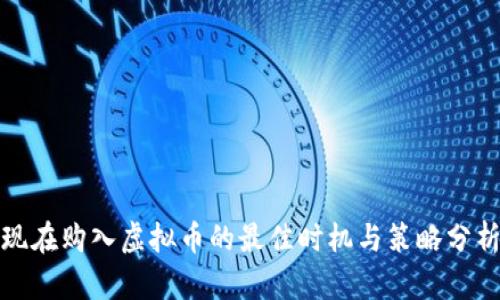 现在购入虚拟币的最佳时机与策略分析