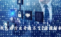 虚拟币电子钱包为什么开