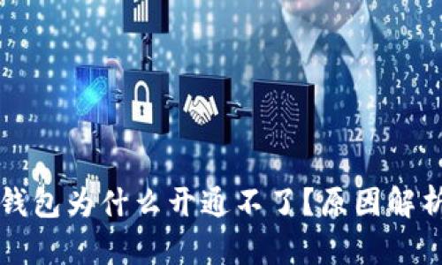 虚拟币电子钱包为什么开通不了？原因解析与解决方案