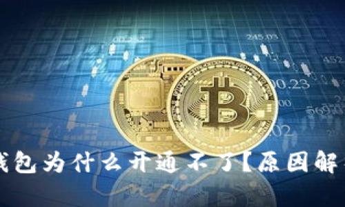 虚拟币电子钱包为什么开通不了？原因解析与解决方案