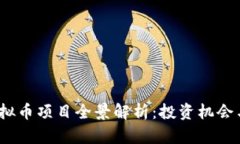 2023年虚拟币项目全景解析