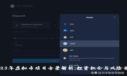 2023年虚拟币项目全景解析：投资机会与风险并存