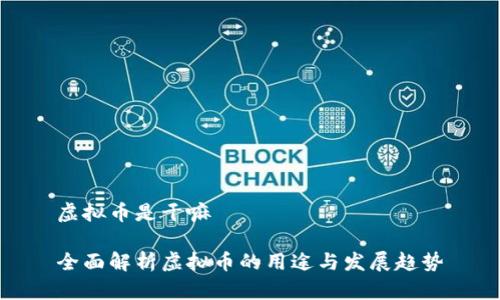 虚拟币是干嘛 

全面解析虚拟币的用途与发展趋势