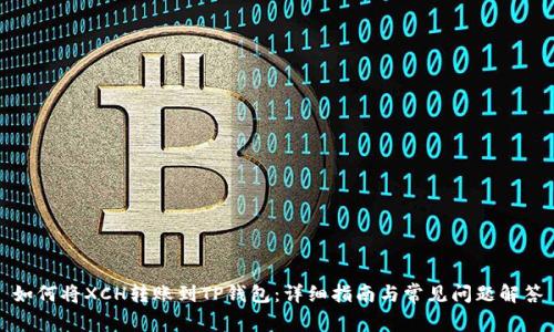 如何将XCH转账到TP钱包：详细指南与常见问题解答