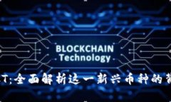 虚拟币XCT：全面解析这一